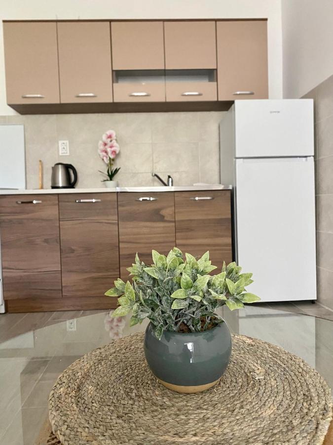 Apartmani Dragana แฮร์เซ็ก-โนวี ภายนอก รูปภาพ