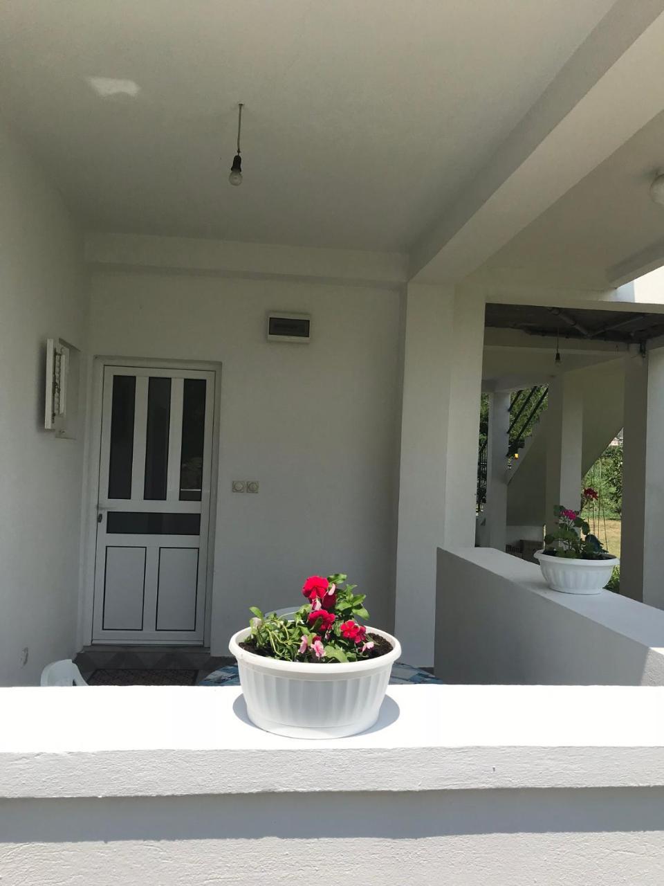 Apartmani Dragana แฮร์เซ็ก-โนวี ภายนอก รูปภาพ